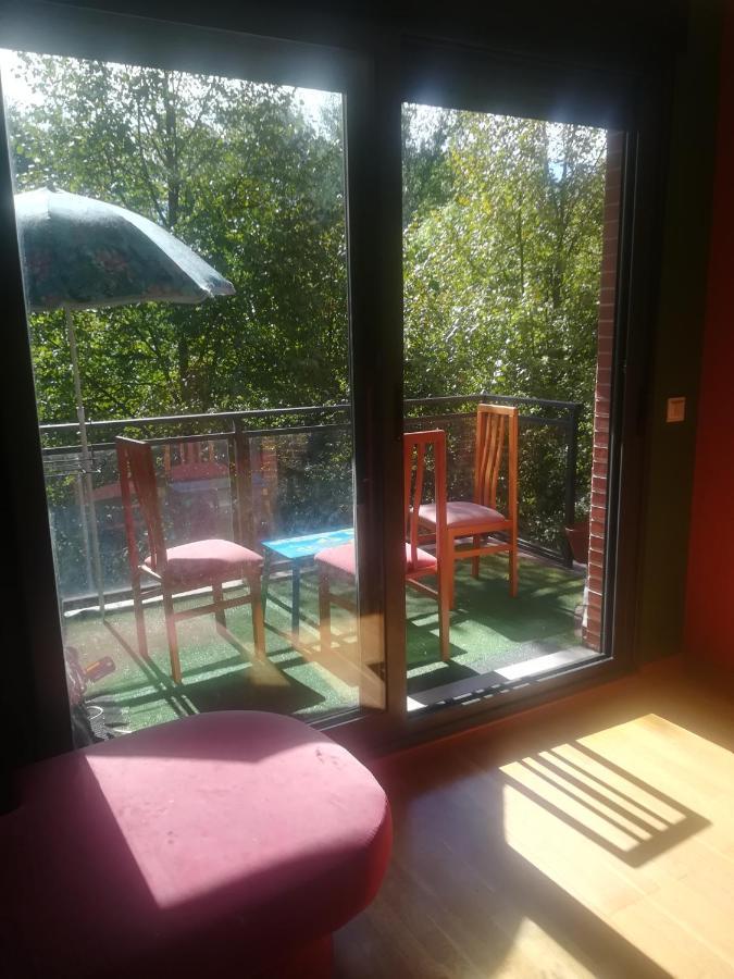 La Terraza De Zahara Apartment Pamplona Bagian luar foto